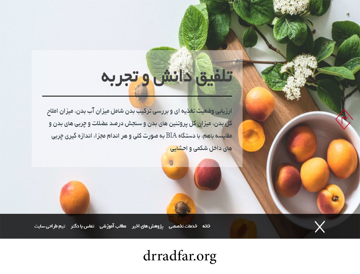 طراحی وب سایت متخصص تغذیه و رژیم درمانی | دکتر محمد رادفر